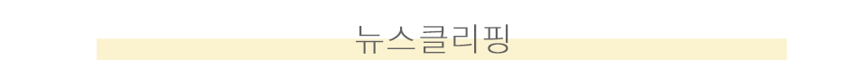 뉴스클리핑