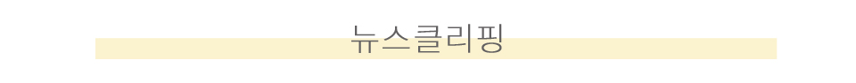 뉴스클리핑